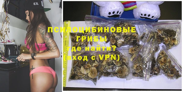 винт Абаза