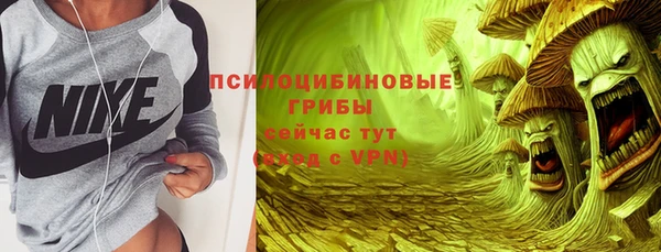 винт Абаза