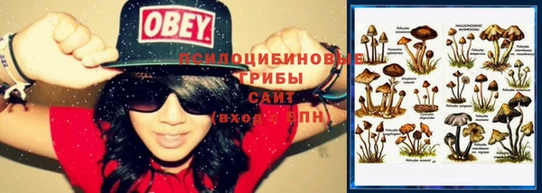 молекула духа Абинск
