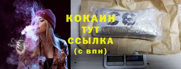винт Абаза