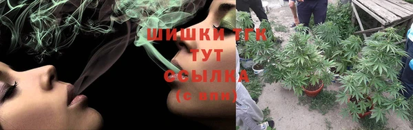 винт Абаза